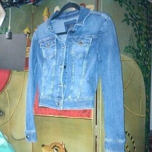 The Limited Classic Blue Denim Jean Jacket